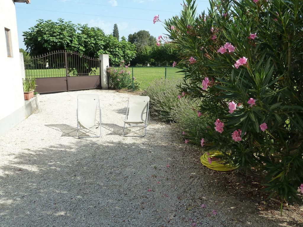 Le Mas De La Verdiere Avignon Bagian luar foto